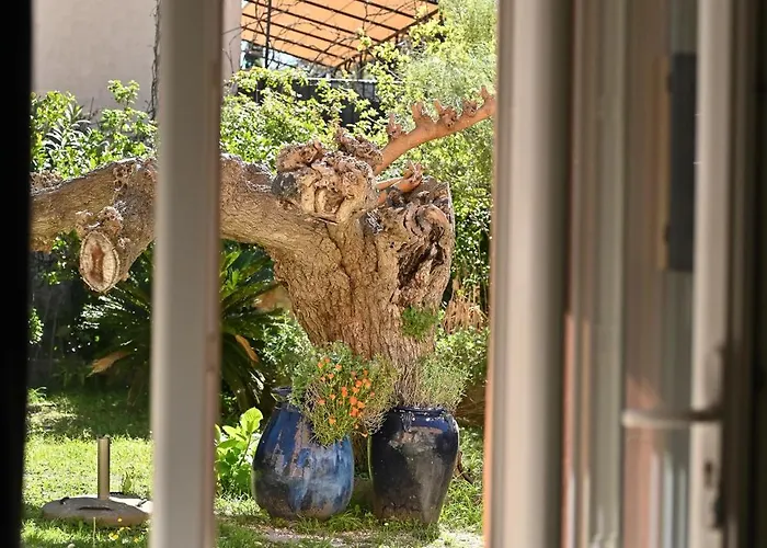 Légèreté Aux Mûriers *